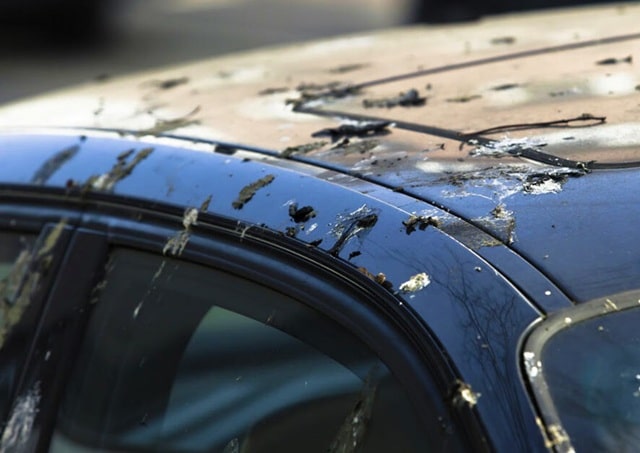 Как продлить срок службы кузова авто: защита, уход и стильные аксессуары - фото5