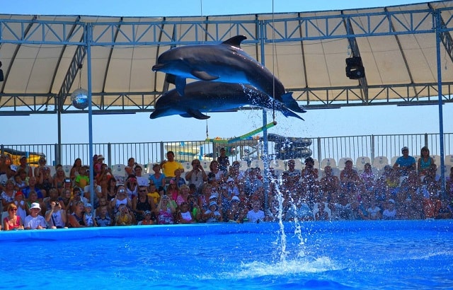 Отдых в Бердянске: что посмотреть, куда сходить, как добраться - фото4 Отдых в Бердянске: что посмотреть, куда сходить, как добраться - фото4