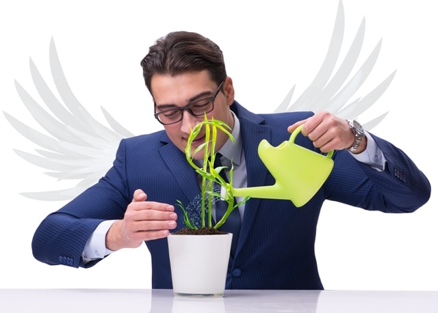 Как развить свой бизнес и сделать его прибыльным - фото4