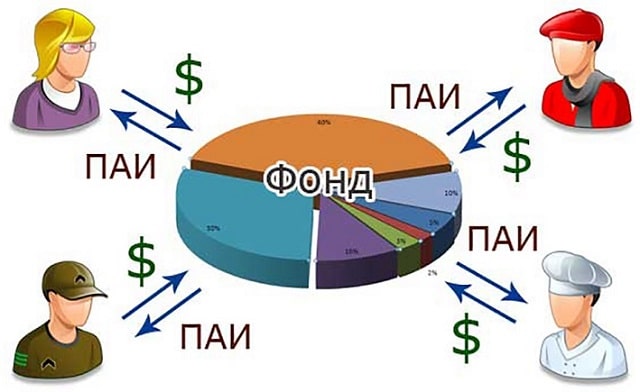 Паевой инвестиционный фонд (ПИФ): что это такое и как работает (простыми словами) - фото1