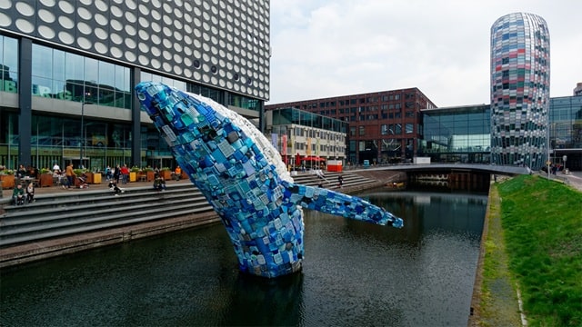 Регистрация бизнеса в Нидерландах для нерезидентов: особенности, кому подойдет, преимущества и риски - фото1