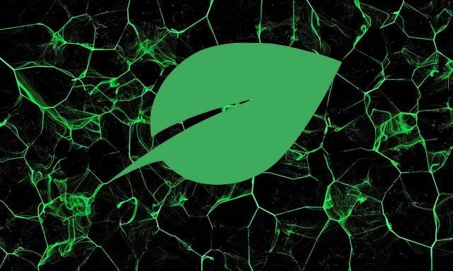 Криптовалюта Chia (XCH): что это такое, особенности, как работает - фото1