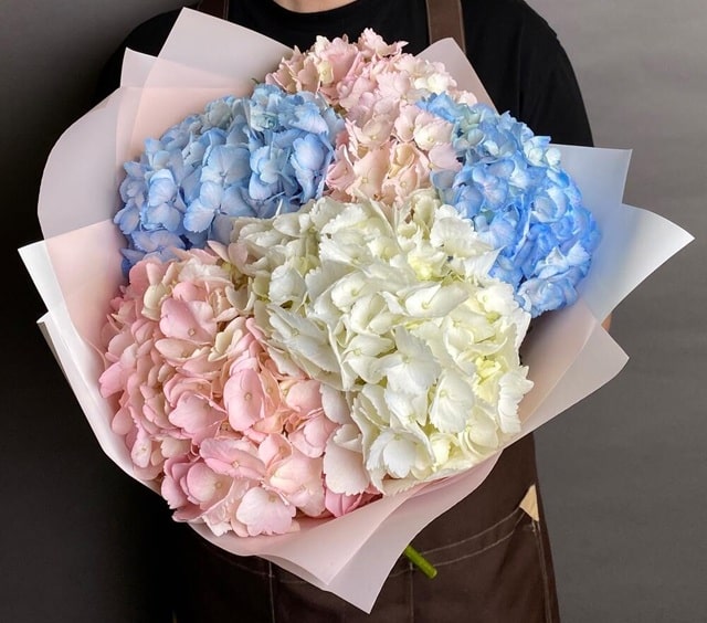 Букет из гортензий: кому и когда дарить, как ухаживать - фото1