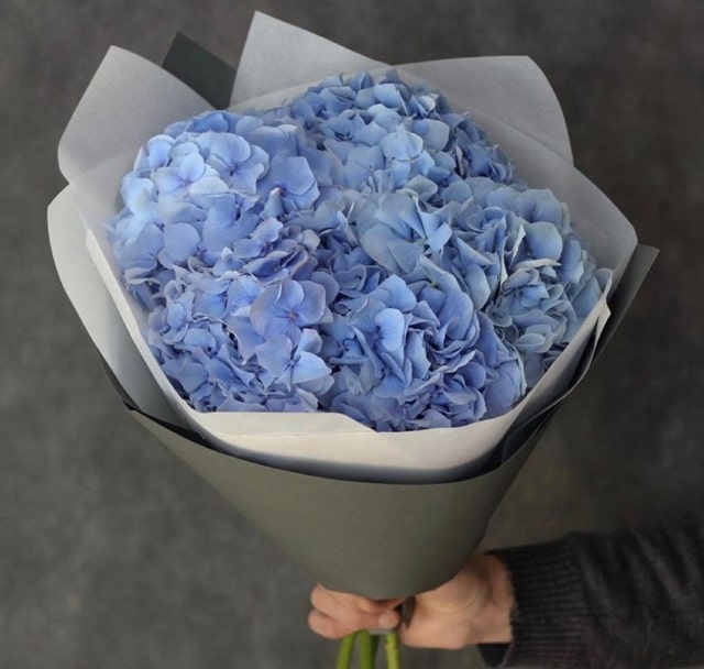 Букет из гортензий: кому и когда дарить, как ухаживать - фото3