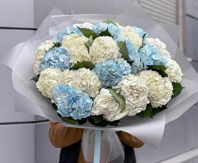 Букет из гортензий: кому и когда дарить, как ухаживать - фото5