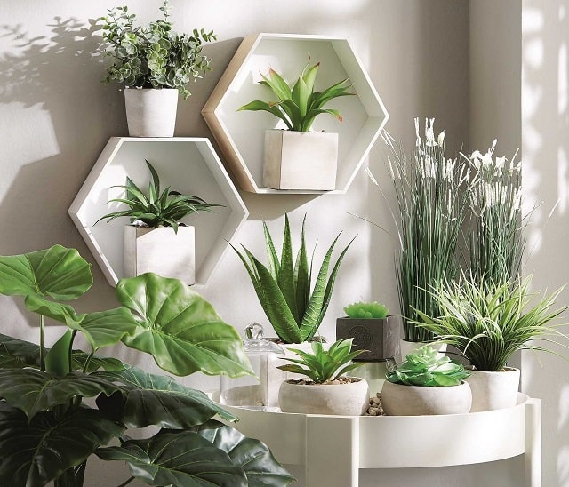 Горшки для цветов: виды и особенности - фото3 Горшки для цветов: виды и особенности - фото3