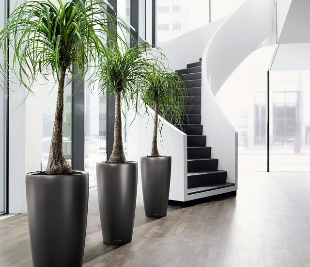 Горшки для цветов: виды и особенности - фото4 Горшки для цветов: виды и особенности - фото4