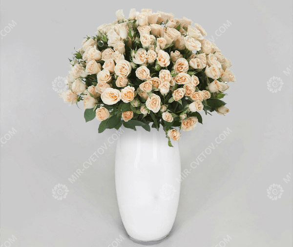 Какие цветы лучше подарить девушке 14 февраля на День Святого Валентина - фото1