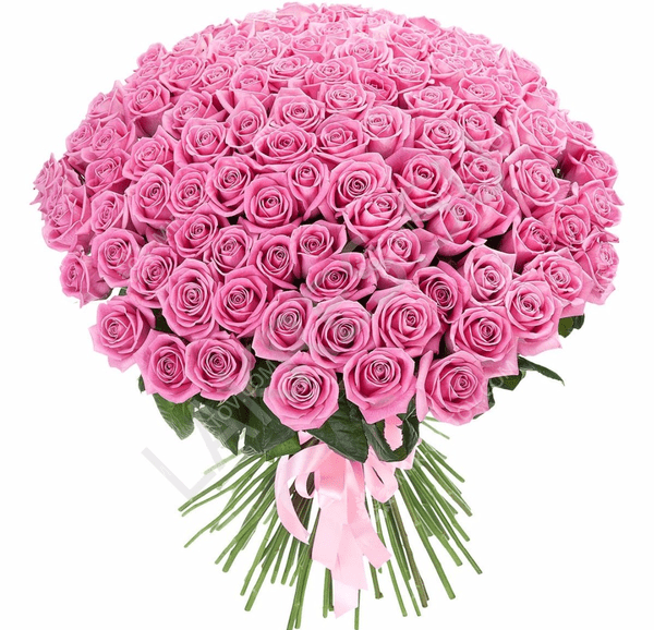 Какие цветы лучше подарить девушке 14 февраля на День Святого Валентина - фото2