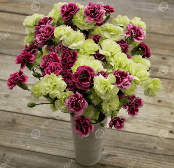 Какие цветы лучше подарить девушке 14 февраля на День Святого Валентина - фото4