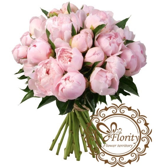 букеты пионов на праздник