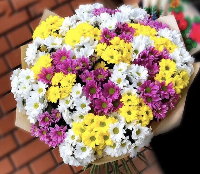 Когда дарят хризантемы: что это значит - фото1