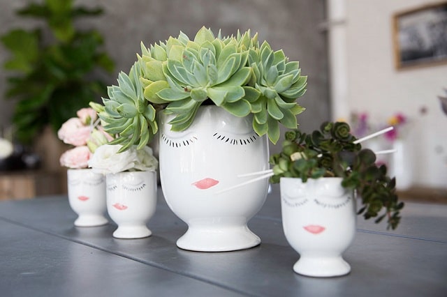 Можно ли дарить цветы в горшке: полезные советы - фото4