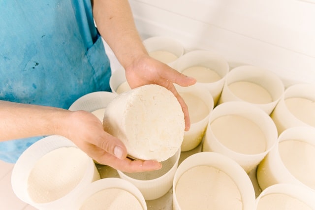 Домашнее сыроварение: что для этого нужно, особенности и полезные советы - фото4