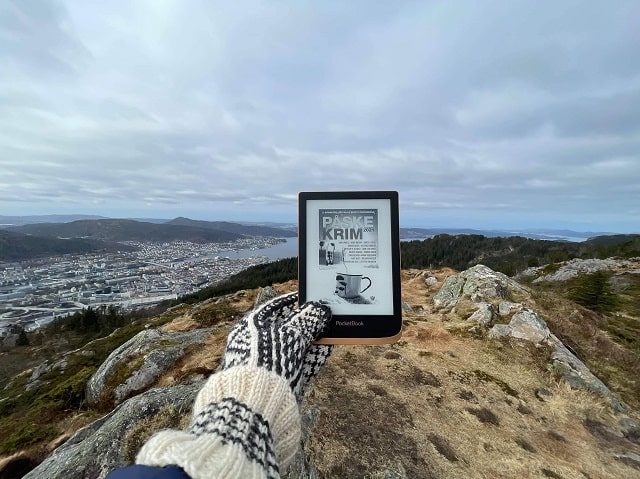 Электронная книга: что это такое, виды устройств, как выбрать - фото3