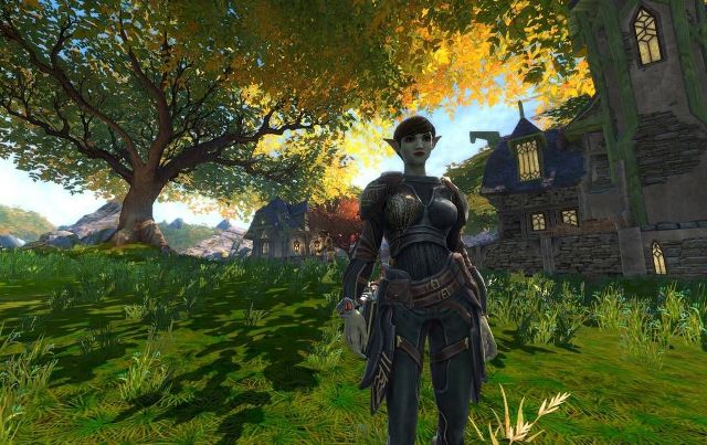 Чем заняться вечером любителю фентези: играем в онлайн RPG - фото1