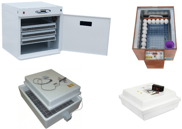 Бытовой инкубатор для яиц: какой выбрать и как пользоваться - фото1