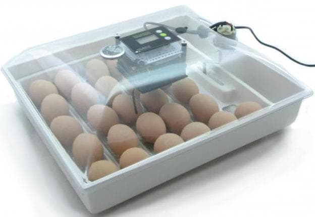 Бытовой инкубатор для яиц: какой выбрать и как пользоваться - фото2