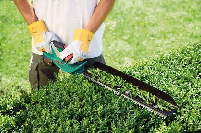 Что такое кусторез: виды, плюсы и минусы, применение - фото4 Что такое кусторез: виды, плюсы и минусы, применение - фото4