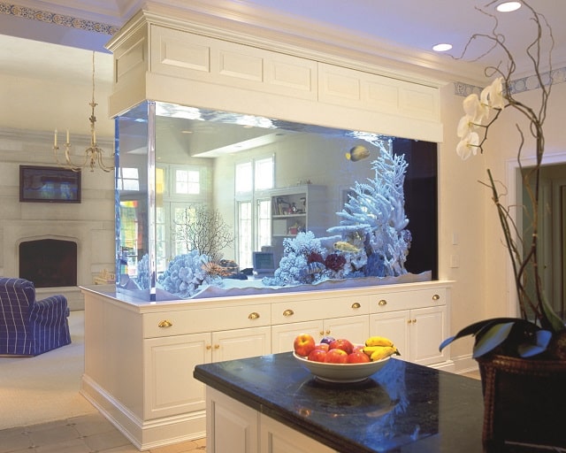 Аквариум: виды и особенности, как выбрать - фото1
