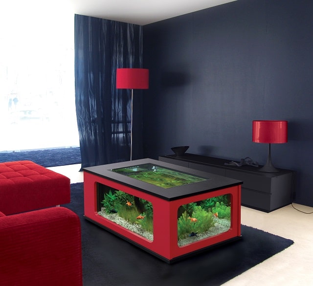 Аквариум: виды и особенности, как выбрать - фото2