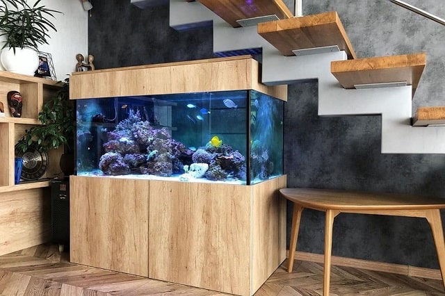 Аквариум: виды и особенности, как выбрать - фото3