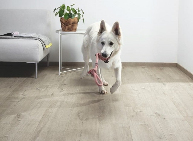 Який ламінат вибрати для квартири: клас, товщина, зовнішній вигляд, спосіб монтажу - фото4 Який ламінат вибрати для квартири: клас, товщина, зовнішній вигляд, спосіб монтажу - фото4