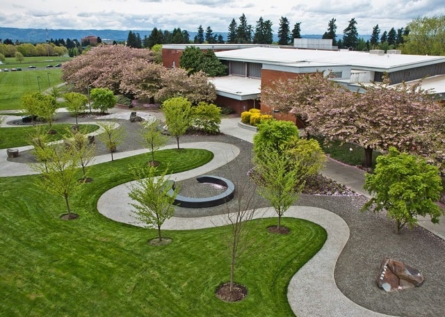 Благоустройство территории: что входит в это понятие и как это делается - фото4 Благоустройство территории: что входит в это понятие и как это делается - фото4