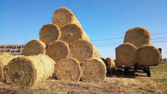 Шпагат (веревка): что это такое, виды, применение - фото3 Шпагат (веревка): что это такое, виды, применение - фото3