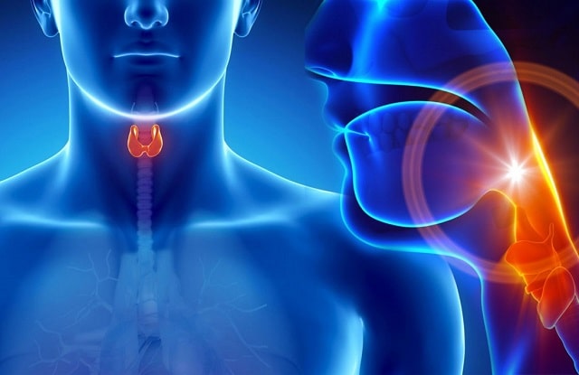 Эндокринолог: что это за врач, какие болезни лечит у взрослых - фото3 Эндокринолог: что это за врач, какие болезни лечит у взрослых - фото3