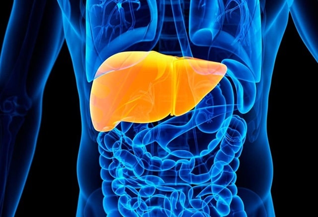 Гепатобилиарная система (ГБС): что это такое, распространенные заболевания и их особенности - Печеночная недостаточность