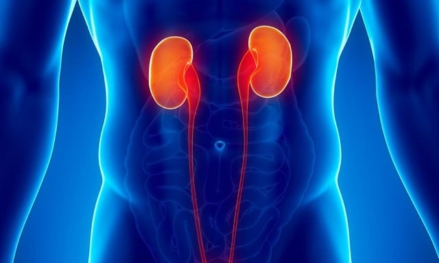 Может ли дать коронавирус осложнения на почки: симптомы и особенности - фото2 Может ли дать коронавирус осложнения на почки: симптомы и особенности - фото2