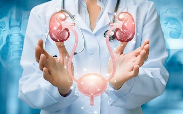 Уролог: что это за врач, какие болезни лечит, какие анализы может назначить - фото3