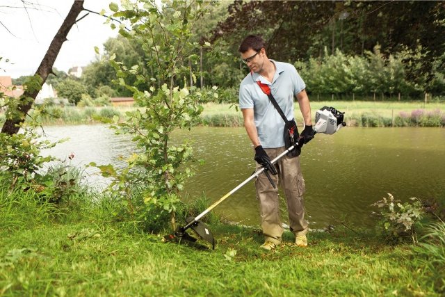 Бензиновая мотокоса - как выбрать - фото1 Бензиновая мотокоса - как выбрать - фото1