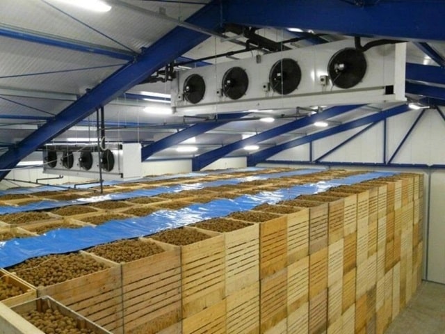 Вентиляція овочесховищ: види, особливості роботи та вибору - фото2