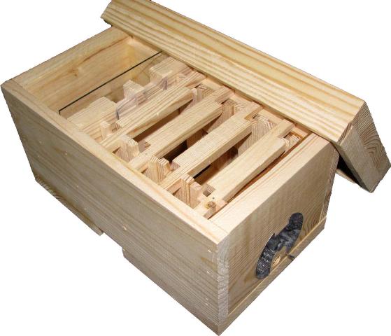 Нуклеус в пчеловодстве: что это такое и как работает - фото1