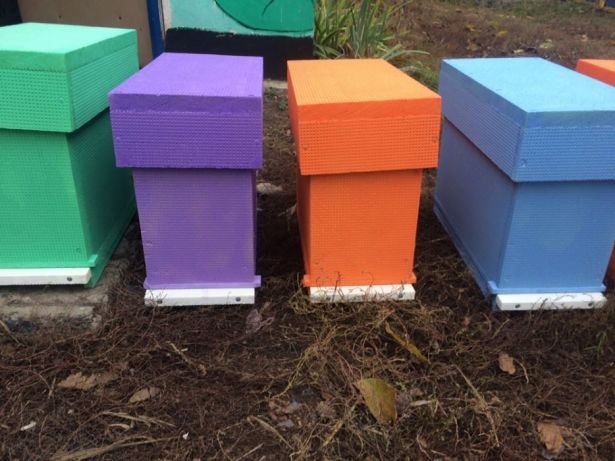 Нуклеус в пчеловодстве: что это такое и как работает - фото3