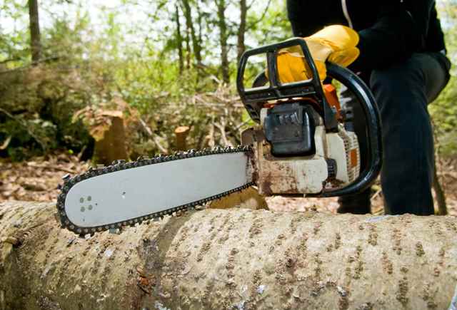 Бензопила или электропила: что лучше и надежнее - фото1