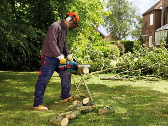 Бензопила или электропила: что лучше и надежнее - фото3