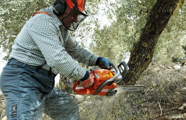 Бензопила или электропила: что лучше и надежнее - фото4