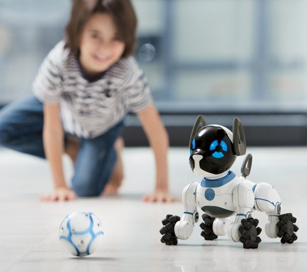 Что можно подарить мальчику на 10 лет в День рождения - фото5 Что можно подарить мальчику на 10 лет в День рождения - фото5