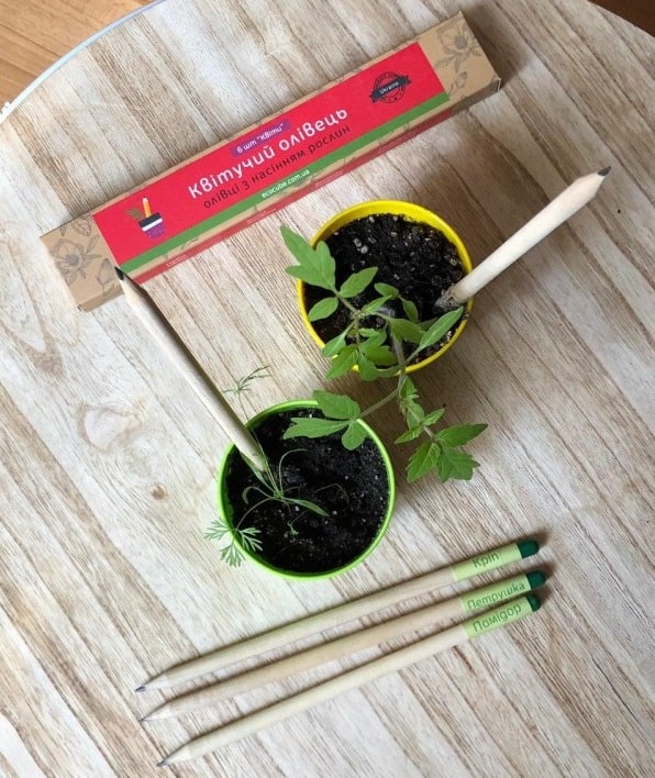 Екокубик: оригінальний квітучий подарунок - фото3