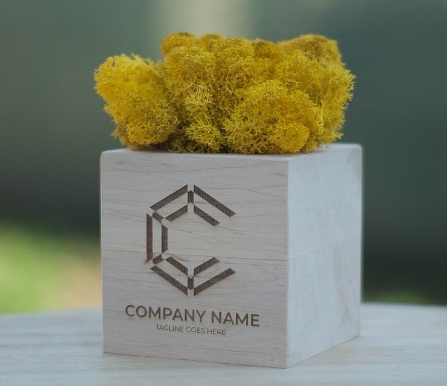 Екокубик: оригінальний квітучий подарунок - фото4