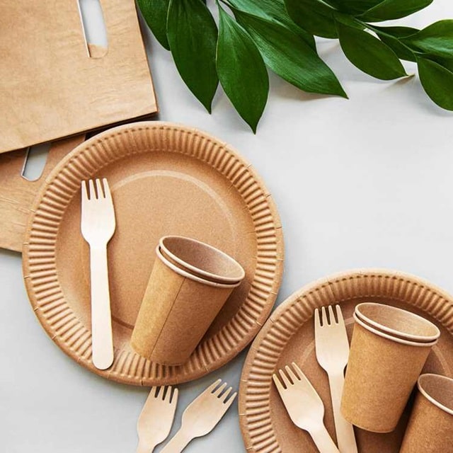 Современная одноразовая посуда: что сейчас популярно, особенности материалов и применения - фото2