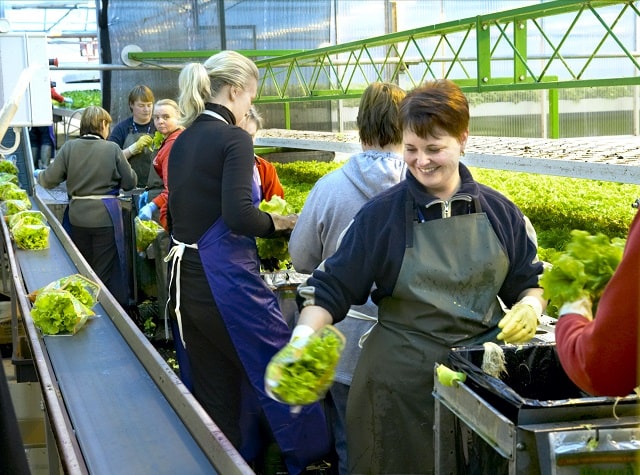 Работа в Европе для украинцев: плюсы и минусы, самые перспективные страны - фото5