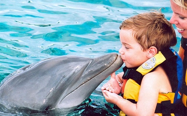 Чекурда Тарас Петрович: «дельфинотерапия - приятное занятие, оказывающее уникальный лечебный эффект» - фото2