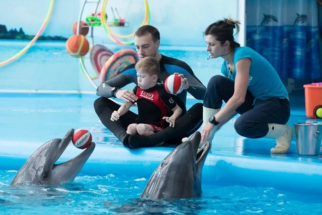 Чекурда Тарас Петрович: «дельфинотерапия - приятное занятие, оказывающее уникальный лечебный эффект» - фото3