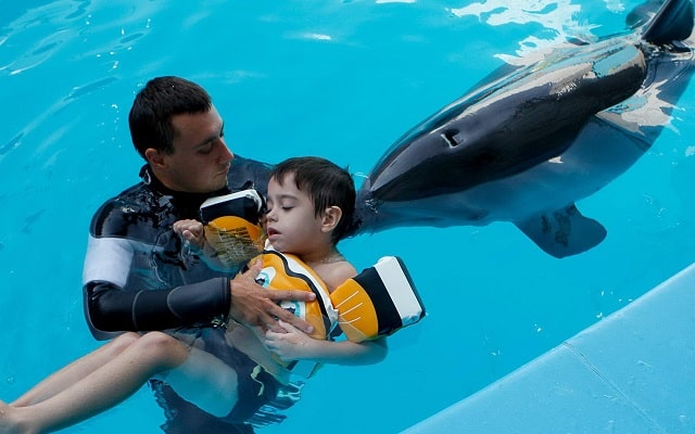 Чекурда Тарас Петрович: «дельфинотерапия - приятное занятие, оказывающее уникальный лечебный эффект» - фото4