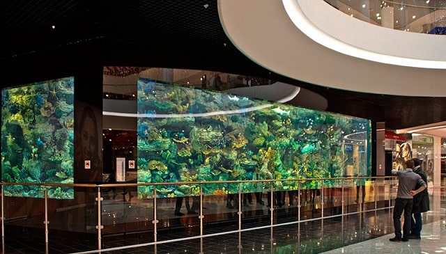 Ocean Plaza в Киеве - очередной торговый центр или что-то уникальное - фото3