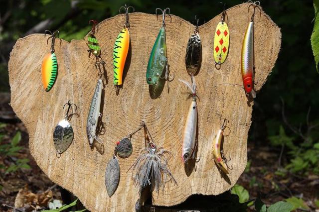 Блесны: какие бывают и что на них ловить - фото1